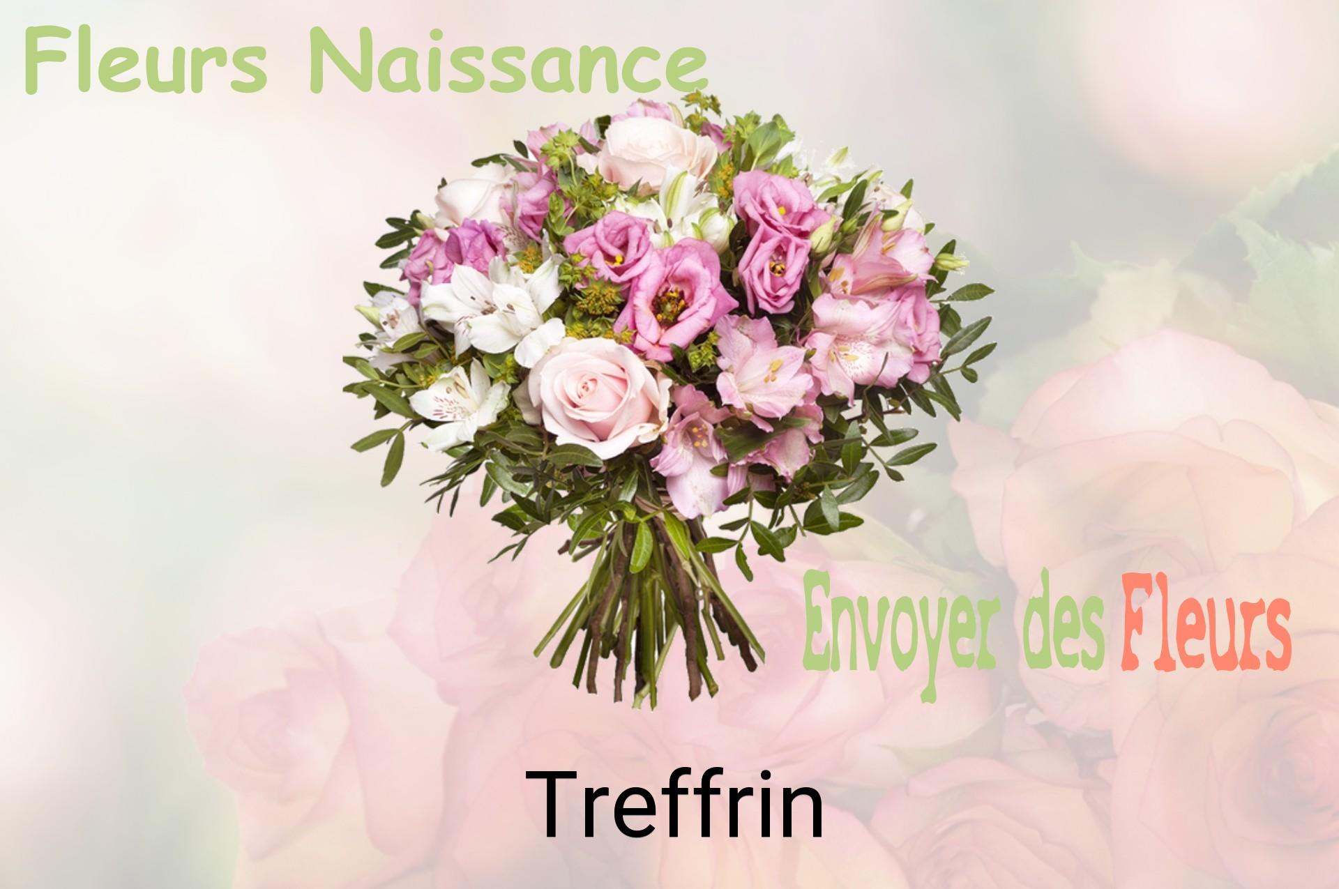 Bouquet de fleurs de naissance livré à Treffrin