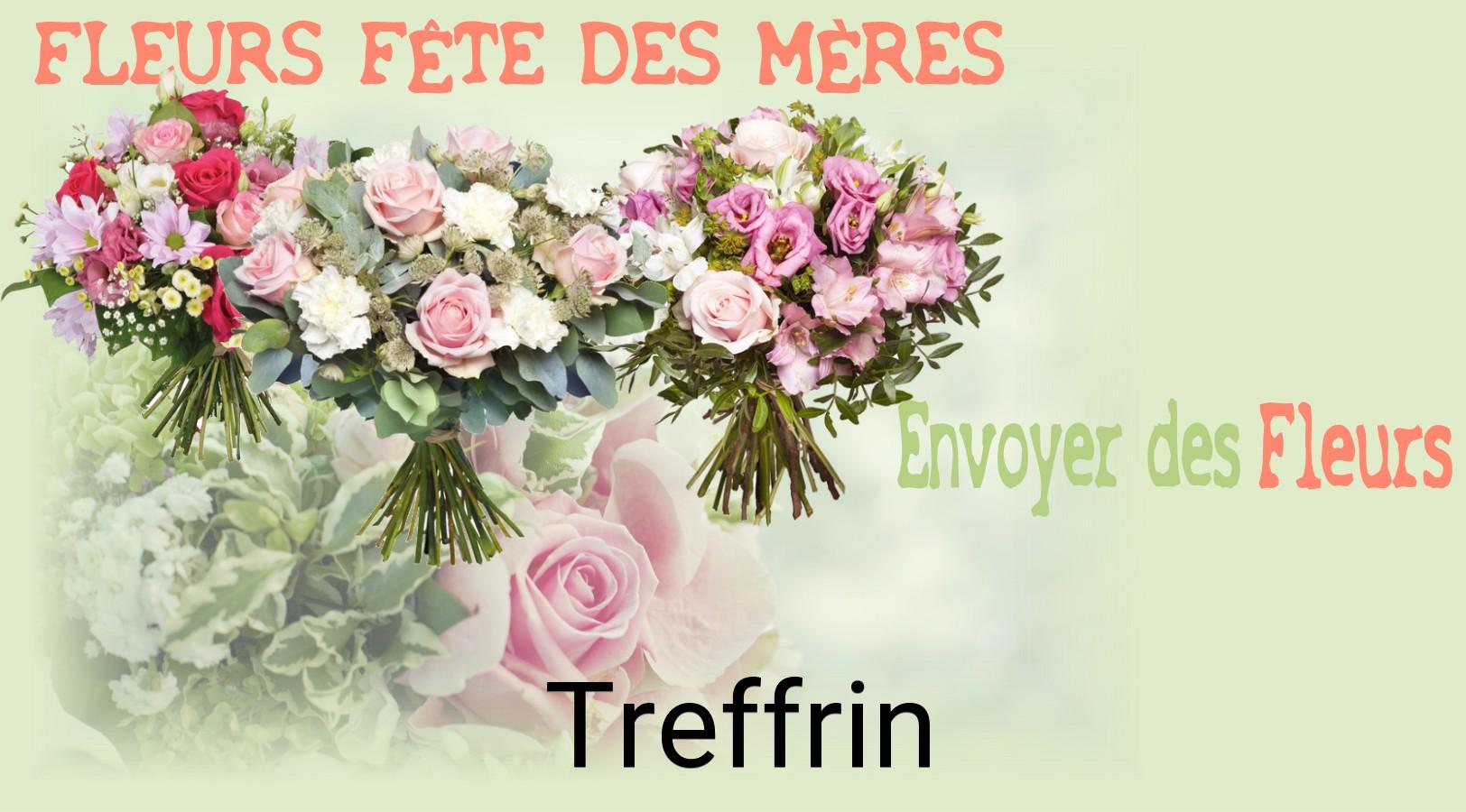 Bouquet de Fête des Mères livré à Treffrin